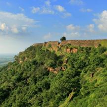 a view of a mountain with trees on it