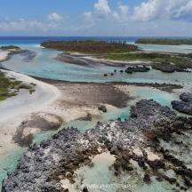 eine Luftaufnahme eines Strandes mit Felsen und Wasser