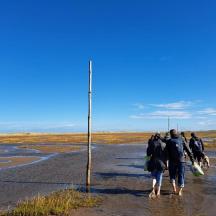 a group of people walking down a dirt road