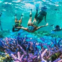 eine Gruppe von Menschen, die über einem Korallenriff schwimmen