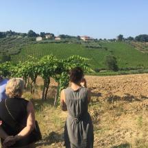 Un grupo de personas de pie en un campo mirando un viñedo.