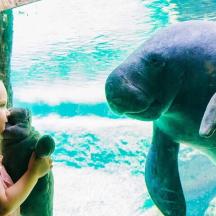 a little girl looking at a polar bear in a zoo