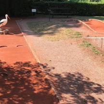 a bird standing on a sidewalk next to a skate park