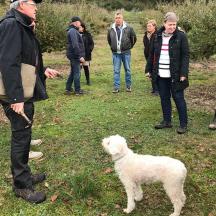 un grup de persones al voltant d'un gos blanc