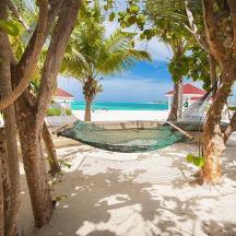 a hammock on a beach with palm trees