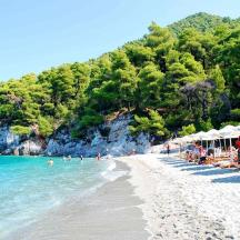 una platja amb gent asseguda a la sorra i a l'aigua