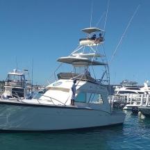 a white boat is docked in the water