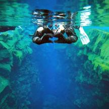 eine Person, die im Wasser eines Aquariums schwimmt