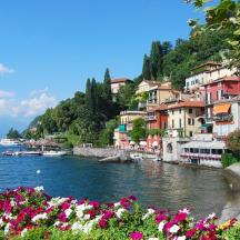 una vista di un fiume con edifici e fiori
