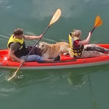 zwei Personen und ein Hund in einem Kajak auf dem Wasser
