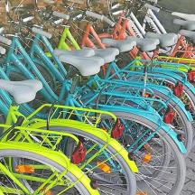 a bunch of bikes lined up in a row