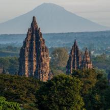 a group of large towers on a hill with trees