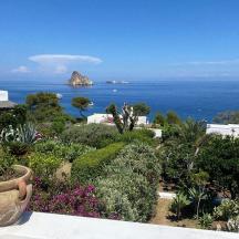 a garden with flowers and a view of the ocean