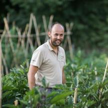 un homme debout dans un champ de plantes