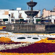 a fountain with flowers in the middle of a city