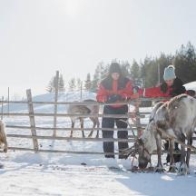 deux femmes debout à côté d'une clôture avec des vaches dans la neige