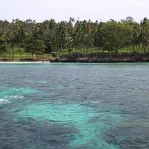 a large body of water with a group of trees
