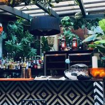 a bar with lots of plants on the wall