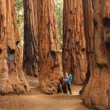 un uomo in piedi davanti a un gruppo di alberi