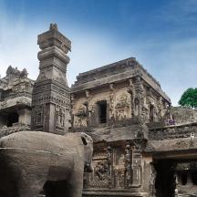 an elephant standing in front of a building