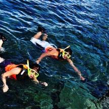 un groupe de personnes nageant dans l'eau