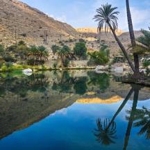 a pond in the middle of a desert with palm trees