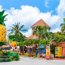 a view of the pineapple park at the disneyland resort