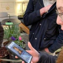 una dona mira un telèfon mòbil
