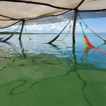 a view of the water with hammocks in the water