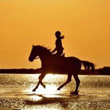 eine Person, die bei Sonnenuntergang am Strand reitet