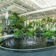 a large building with a fountain with trees in it