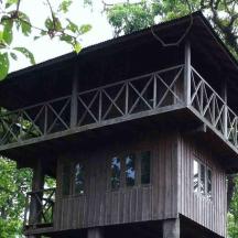 a tree house in the middle of the forest