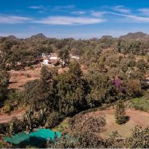 an overhead view of a field with trees and houses