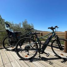 ein Fahrrad ist auf einem Holzdeck geparkt