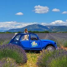 een persoon die bovenop een kleine blauwe auto in een veld zit