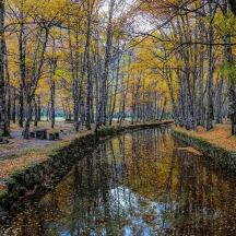 a painting of a pond in a park with trees