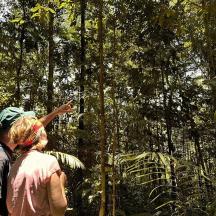 a man and woman walking through the forest