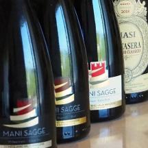 テーブルの上に置かれた3本のワイン