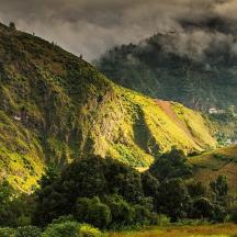 a green hill with trees on the side of it