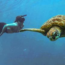 a woman swimming next to a turtle in the water