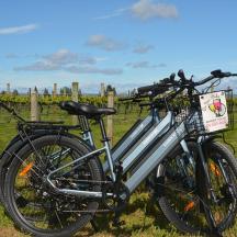 a bike parked in a field next to a fence