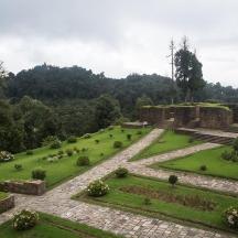 a view of a garden with grass and trees