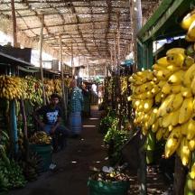 a market with a bunch of bunches of bananas