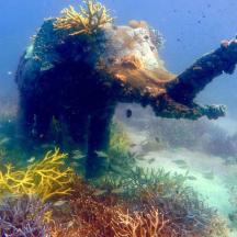 a person is swimming in the water near the reef