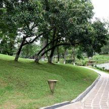 a path in a park with a tree and a trash can