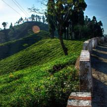 a fence on the side of a hill