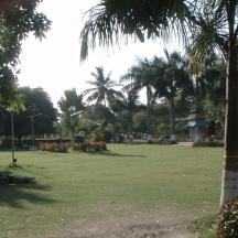 a park with palm trees and a gazebo