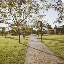 a walkway in a park with trees and grass