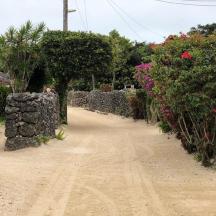 a dirt road with flowers and a stone wall