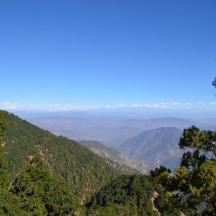 a view of a valley with trees and mountains